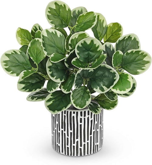 13" Artificial Plants Indoor Small Fake Plant in Ceramic Pot, Silk Plants by VillaComo