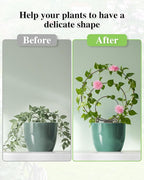 3 Pcs Different Sizes Metal Hoya Trellis, Small Round Indoor Plant Trellis - Image 5
