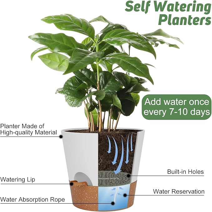 10 inch Plant Pots, Self-Watering Planters - Image 5