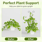Larger 23.6in Taller Plant Trellis - Image 4
