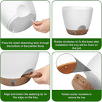 Self-Watering Plant Pots with Water Level Indicator, Drainage Holes & Saucers – - Image 7