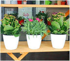 2 Pcs 3.5“ Self Watering Planter White Flower Pot, Flowers Plants, Small Mini - Image 2
