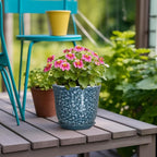 Ceramic Pots for Plants - Image 4