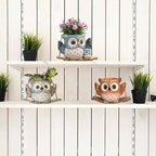 Swing Owl Hanging Planters for Indoor Plants, Cute Small Succulent Pots - Image 6