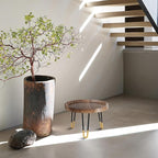 Plant Stand Indoor Outdoor, Mid Century Style Walnut Wood Color Plant Stand - Image 5