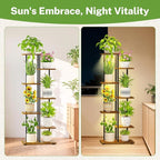 iDavosic.ly 6 Tier Tall Plant Stand Indoor - Image 6