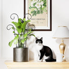 Indoor Plant Trellis for Climbing Plants, Stackable Garden Trellis for Potted - Image 7