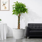 12inch Large Plant Pot, Modern Plastic Planter - Image 6