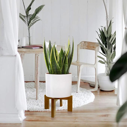 2 Pack Plant Stand Indoor Outdoor, Mid Century Plant Stand - Image 2