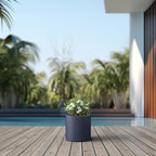 Kante 9.8" Dia Round Concrete Planter, Modern Style Large Cylindrical Plant Pot - Image 6