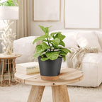 Self Watering Planters Plant Pots Indoor Flower Planting PotsP - Image 5