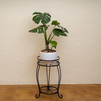 FaithLand Plant Stand, Heavy Duty Metal Planter Holder Indoor Outdoor, 2 Tier - Image 5