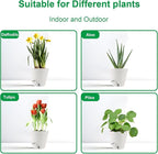 Self-Watering-Pots-for-Indoor-Plants, 8 Inch Flower Pots - Image 5