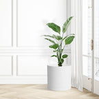 12 Inch Large Deep Flower Pots for Outdoor Indoor Plants, Cylinder Tall Plant - Image 7