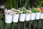 Dahey 10 Pcs Hanging Flower Pots Metal Iron Bucket Planter - Image 7