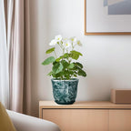 Ceramic Pots for Plants - Image 6