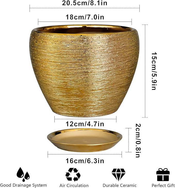 Ceramic Plant Pot 8 Inch - Image 3