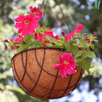 Y&M 2pcs 20“ Round Coconut Fiber Liner - Image 4
