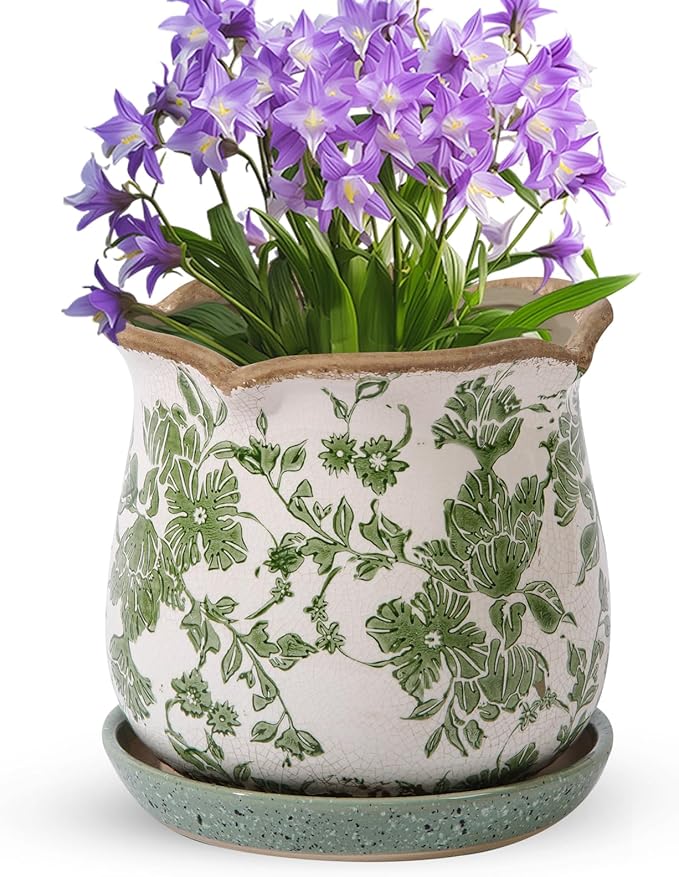 Ceramic-Planters-for-Indoor-Plants by Xoogifae