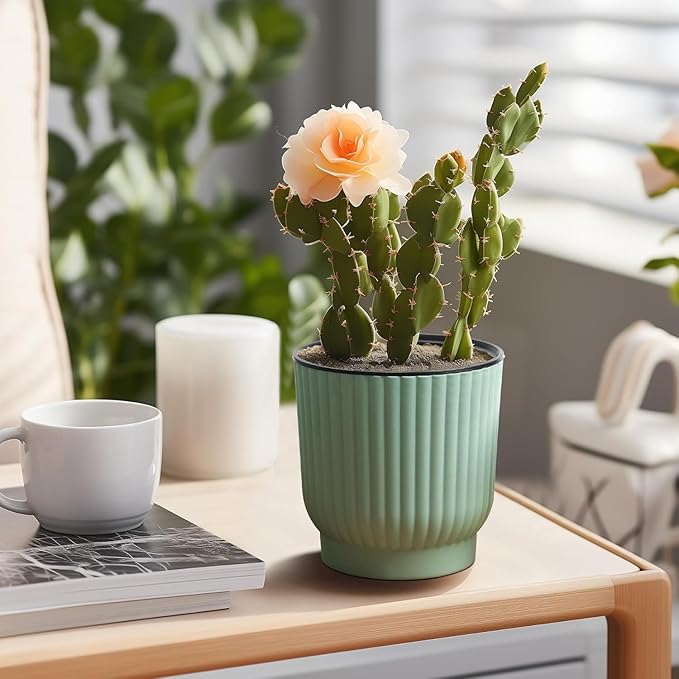 T4U 4 Inch Plant Pots Self Watering, 6 Pack African Violet Pots, Small Plant - Image 9