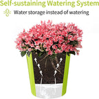 TCBWFY 9 Inch Self Watering Pots - Image 6