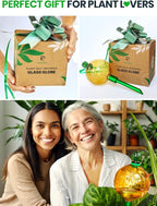 16 Oz Plant Watering Globes for Indoor Plants - Image 6