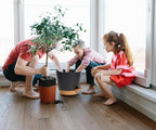 Plant Pots Self Watering Planters - Image 5