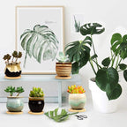 Brajttt 2.1 Inch Succulent Pot - Image 4