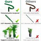 10-Pack Adjustable Height Snake Plant Support Stakes- Sturdy, Rust-Resistant - Image 3