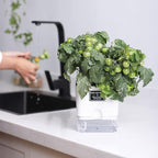 FAMZ Self Watering Planters 4 Pack，Self Watering Pots - Image 4