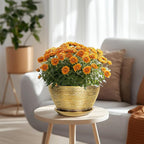 Ceramic Plant Pot Indoor - Image 2