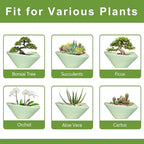 Ceramic Bonsai Pots - Image 7