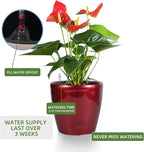 Dexceder 11x10 Inches High Gloss Self Watering Planter Indoor Outdoor, Inner - Image 5