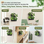 Wall-Mounted Vertical Garden Planter – Ready-to-Use Indoor Wall Planter - Image 4