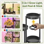 iDavosic.ly Plant Stand Indoor - Image 4
