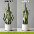 6 Pack Plant Support Stakes – Tall Plant Stakes - Image 5