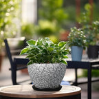 Ceramic Planter Pot - Image 4