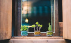 Cute Ceramic Succulent Garden Pots, Planter - Image 2