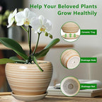 Ceramic Pot for Plant 10 Inch - Image 5