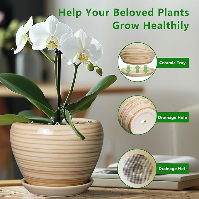 Ceramic Pot for Plant 10 Inch - Image 5