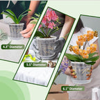 Orchid Pot, 6 Packs of 6.1" Orchid Pots - Image 6