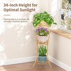 LASZOLA Gold 3 Tier Tall Plant Stand - Image 2