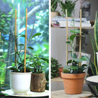 Bamboo Trellis, 16in Ladder-Shaped Trellis - Image 6