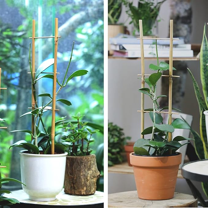 Bamboo Trellis, 16in Ladder-Shaped Trellis - Image 6