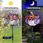 Outdoor Solar Lights 2 Pack, Solar Garden Lights - Image 4