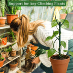 6 Pack Stackable Plant Support Stakes, 43inch Climbing Plant Sticks Structures - Image 5