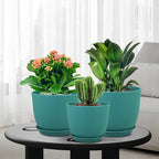 Large Flower Pots 12/10/9 inch, Plant Pots - Image 7