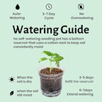 12 Pack 6.5 Inch Clear Self Watering Plant Pots - Image 6