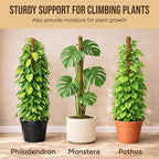 Moss Pole Monstera Plant Support – 48” Bendable Moss Pole Monstera Plant Support - Image 5