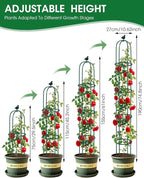 2PCS Garden Trellis for Climbing Plants, 6.2FT Rustproof Metal Pipe - Image 2